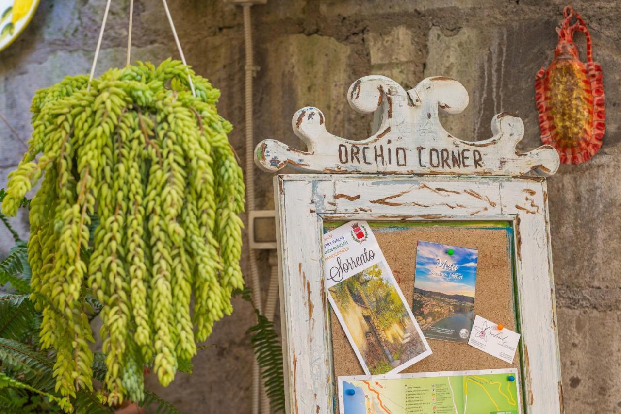 Orchid Corner Guesthouse Мета Екстер'єр фото