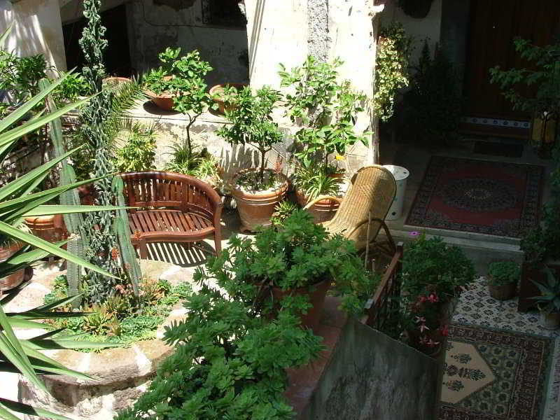 Orchid Corner Guesthouse Мета Екстер'єр фото