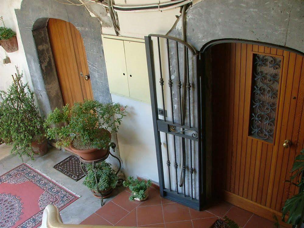 Orchid Corner Guesthouse Мета Екстер'єр фото