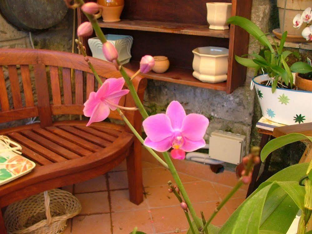 Orchid Corner Guesthouse Мета Екстер'єр фото